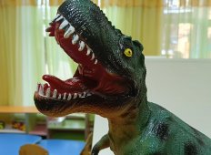 img (2)